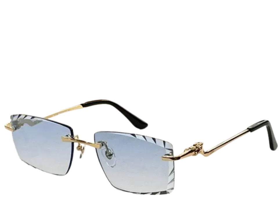 Cartier Glasses (7 Styles)