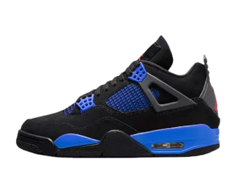 Air Jordan 4 (25 Colorways)