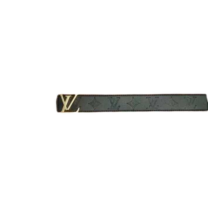 Louis Vuitton Belt (15 Styles)