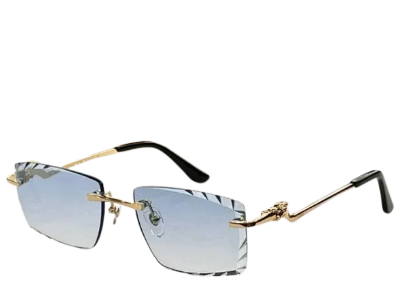 Cartier Sunglasses (7+ Colourways)