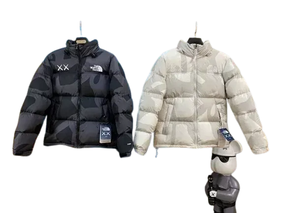 Kaws x TNF 1:1 Jacket