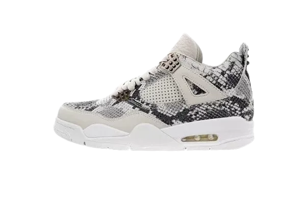 Jordan 4 (20+ Styles)
