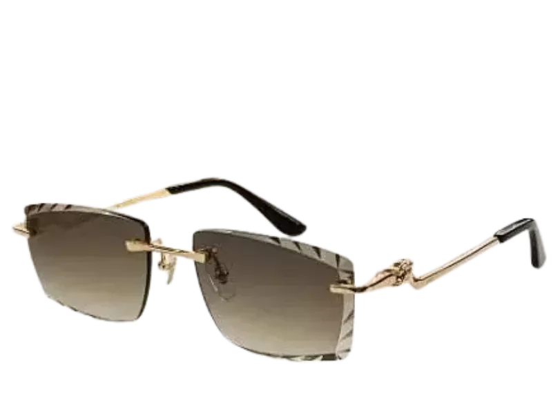 Cartier Sunglasses (8+ Colourways)