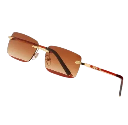 Cartier Glasses (5 Styles)