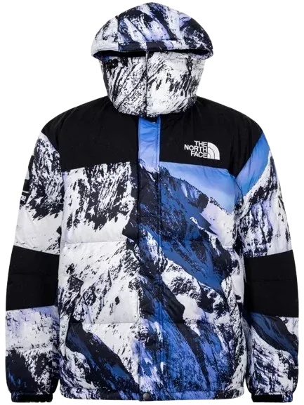 North Face x Supreme Jacket