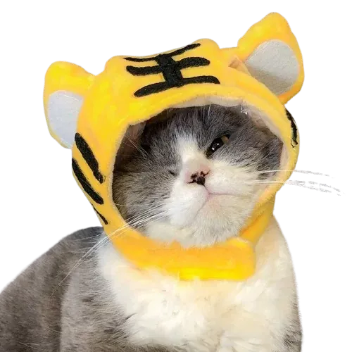 LOIN HEAD GEAR