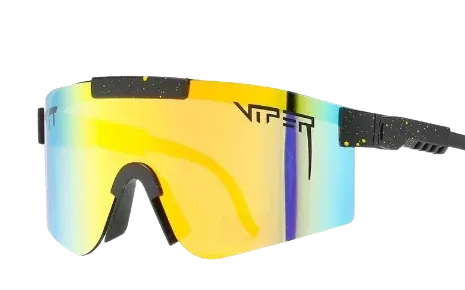 Festival Sunglasses
