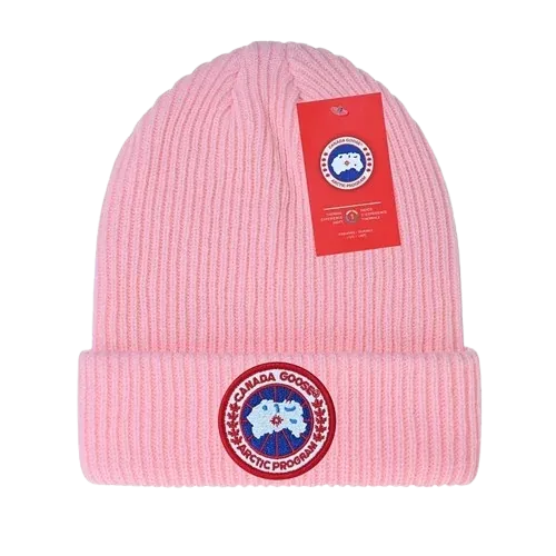Beanies Selection (Moncler, LV, Canada Goose, North Face)