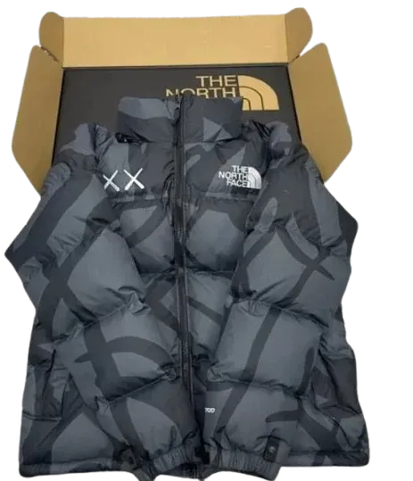KAWS x The North Face Puffer